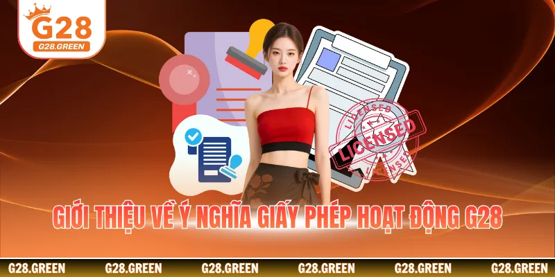 Giới thiệu về ý nghĩa giấy phép hoạt động G28