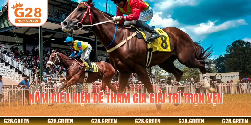 Nắm điều kiện để tham gia giải trí trọn vẹn